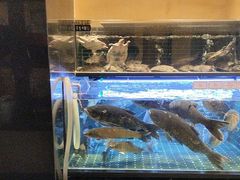 -衢农会·衢州菜·宴请(国际机场店)