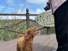 -凤凰山国家森林公园