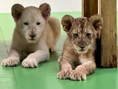 -北京野生动物园