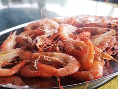 -海鸥岛河景湖大排档