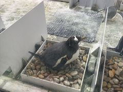 -大连圣亚海洋世界