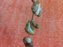 -酒宝荡烧烤(长航局江大路住宅小区店)