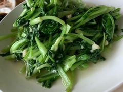 鸡毛菜-宾湖农庄·农场特色(太湖龙之梦店)