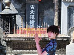 -大槐树寻根祭祖园