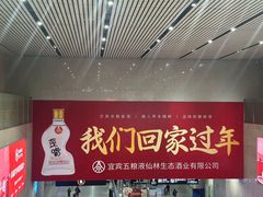-成都东站