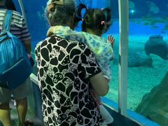 -北戴河圣蓝海洋公园