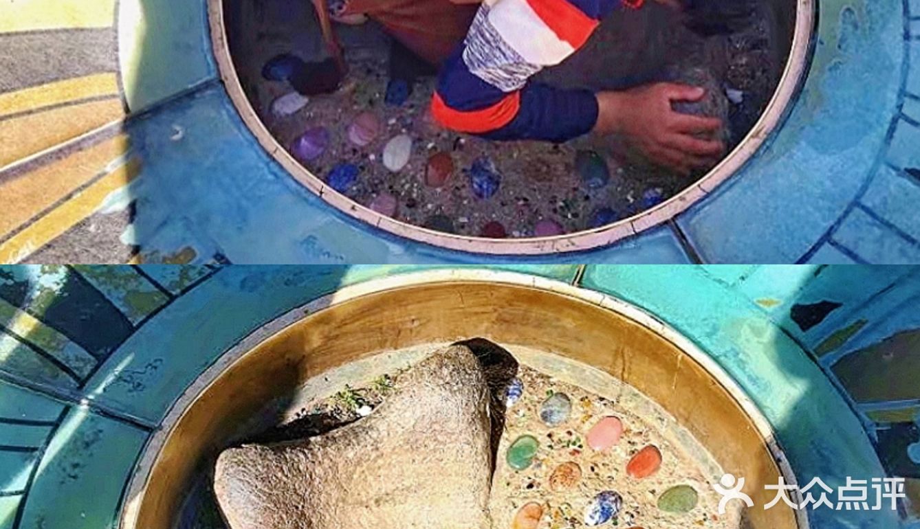 有些地方对我来说，一生去一次足矣