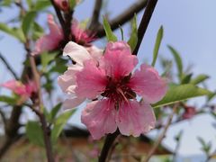 -中国天府农业博览园