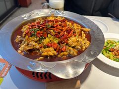 -美蛙四季(望京凯德茂店)