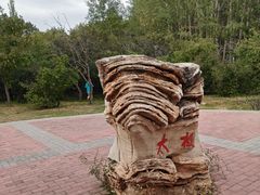 -阿尔丁植物园