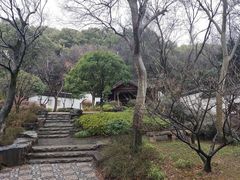 -苏州上方山国家森林公园