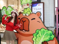 -盛京大奥莱(沈阳奥体店)