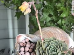 -豪享来(我格广场店)