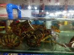 -四姑娘川味海鲜(八爪鱼店)
