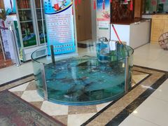 -屯靠屯地锅王(西南路店)