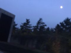 -秦始皇帝陵博物院-丽山园