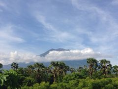 飞鱼摩娜潜水度假村-飞鱼&摩娜潜水度假村