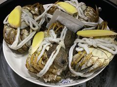 -黄记大闸蟹专卖店·活蟹·醉蟹