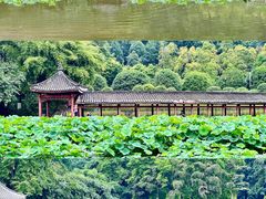 -龙头寺公园
