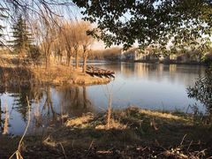 -溱湖国家湿地公园