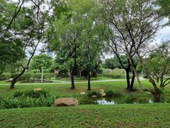 -人民公园(罗湖区)