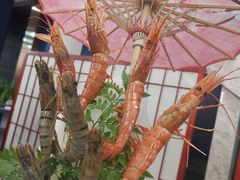 阿根廷红虾-福禧荟·海鲜自助