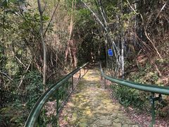 -南海湾森林生态园