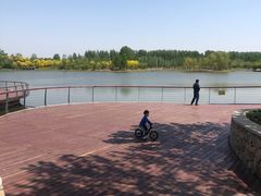 -东郊湿地公园