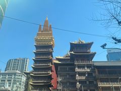 -浩海火燒雲傣家菜(芮欧百货店)