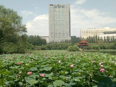 -青城公园
