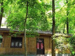 -杭州黄龙洞