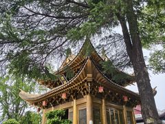 -上海东林寺(金山区)