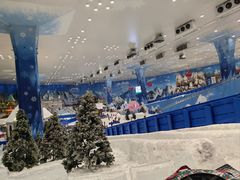 -湘江欢乐城欢乐雪域