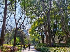 -徐家汇源景区-衡山公园