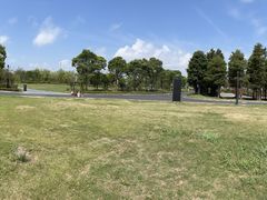 -春花秋色城市公园