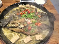 -老板恋上鱼(恒隆广场店)