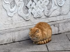 -红螺寺