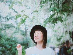-嘉定紫藤园