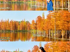 -白鹭湾湿地公园