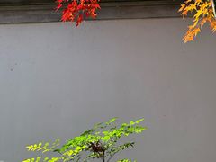 -秋霞圃