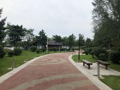 -莫子山公园