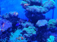 -多彩贵州城极地海洋世界