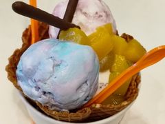 -iceason爱茜茜里·意大利健康冰淇淋(骑龙巷店)
