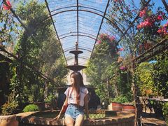 -The Grounds of Alexandria