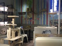 大堂-小时光咖啡馆(开森度假森林店)