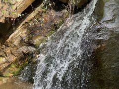 -浮槎山
