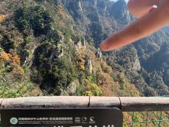 -老界岭旅游度假区