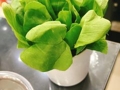 -川香煲(茅台路店)