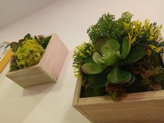 -soulfa柠檬茶(鹭江店)