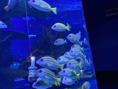 -多彩贵州城极地海洋世界